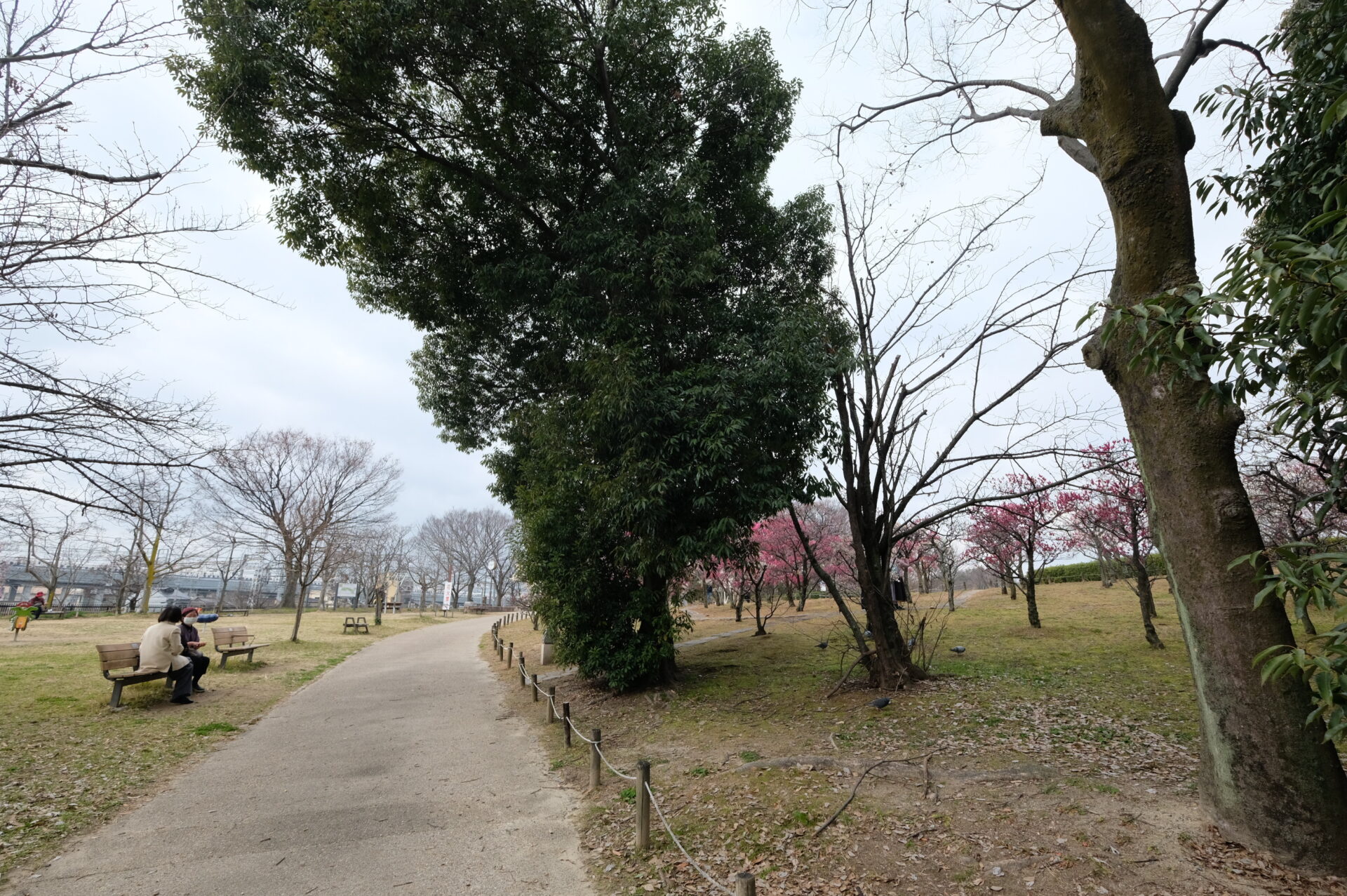 記事のイメージ写真
