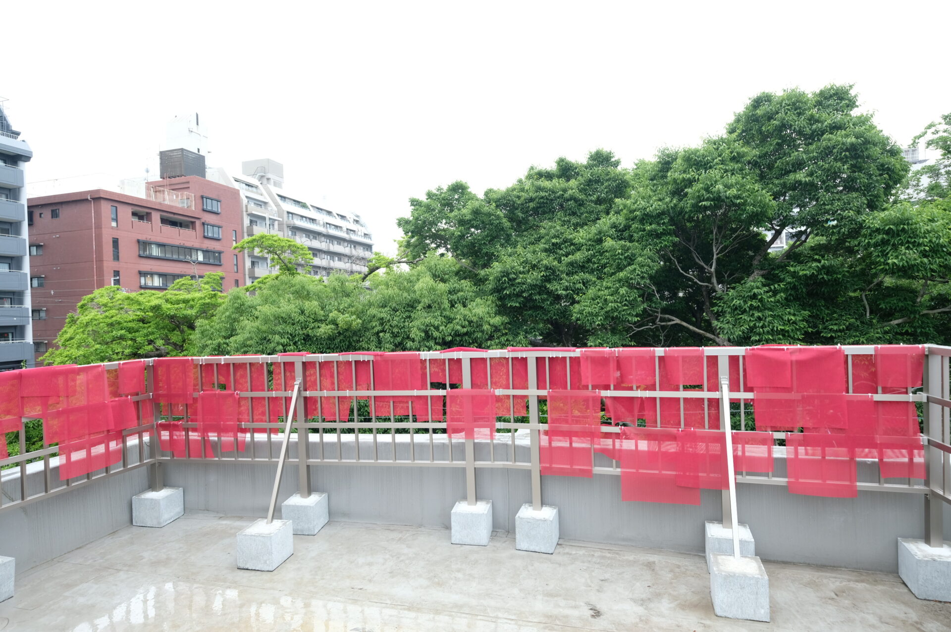 記事のイメージ写真