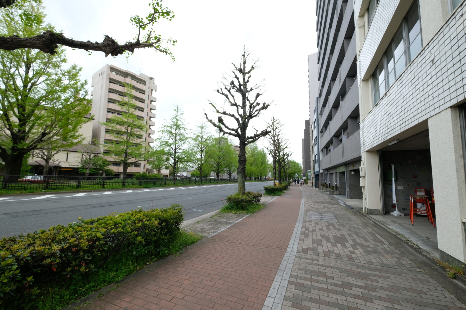 記事のイメージ写真