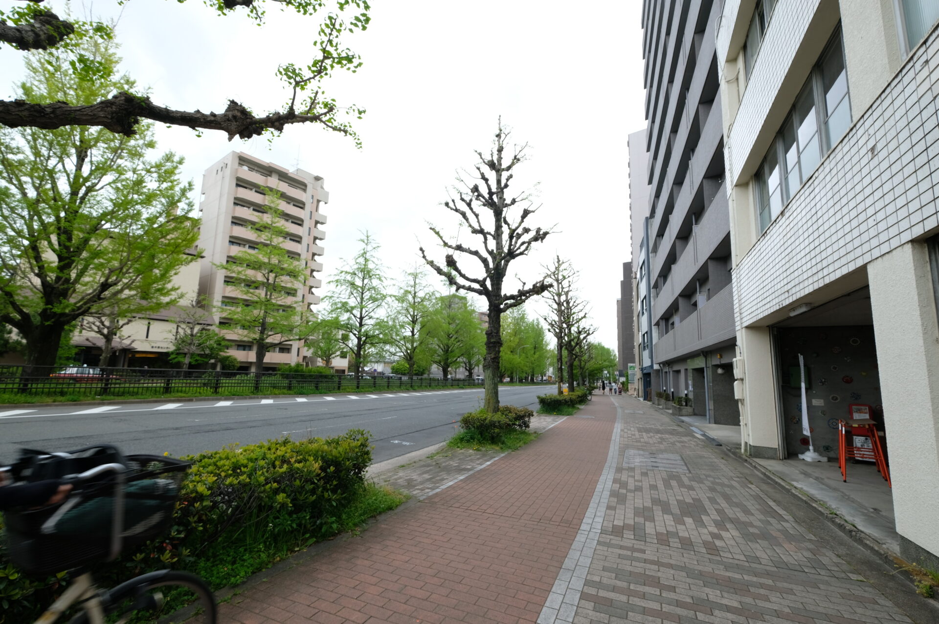 記事のイメージ写真